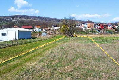 BUDESTI - TEREN 2550 MP - 5