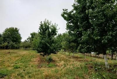 Casă cu 2 camere cu Teren 2080 Mp în Budureasa - 1