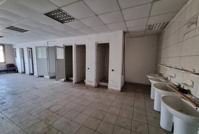 Hala 600 MP- Teren 15000-Otopeni-Centura Bucuresti - 6