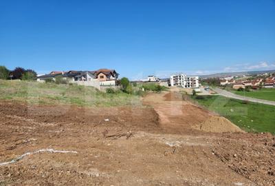 Teren de 5600 mp, în Cetate - 1
