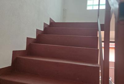 Apartament cu 3 camere în Burdea - 10