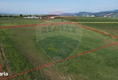 Teren de 39500 mp, în Vințu de Jos - 2