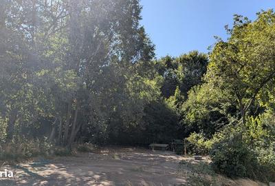 Spațiu comercial, de 800 mp, în Central - 9