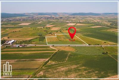 Teren extravilan de vânzare, 4.02ha - 40272m?, Gornești! - 4