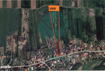 Teren de 5000 mp, în Gruiu