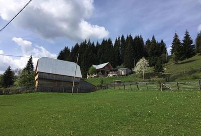 Casă cu 3 camere în Brodina - 8