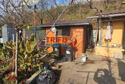 Căsuța din Barabant: O Afacere Mai Bună Decât Un Apartament? - 5