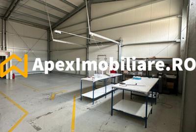 Spațiu comercial, de 550 mp, în Vest - 7