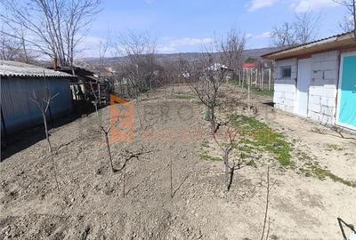 Casă cu 3 camere semidecomandat cu Teren 844 Mp în Pietroasele - 7