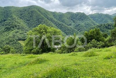 Teren intravilan de vanzare in Martinia de sus - 1