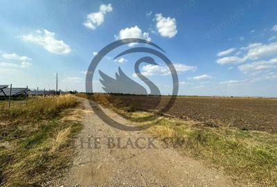 Teren extravilan de vanzare | 9882mp | Berceni - Prahova | Comision 0% - 13