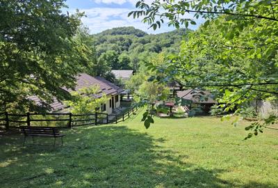 Casă cu 6 camere cu Teren 2267 Mp în Iedera de Sus - 14