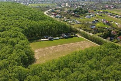 Teren în Snagov - 4