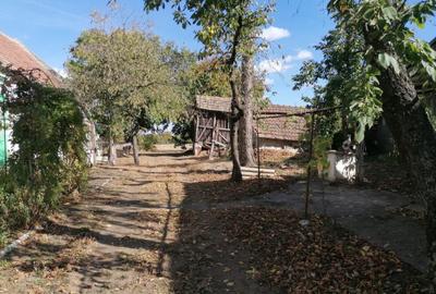 Casă cu 3 camere în Central - 2