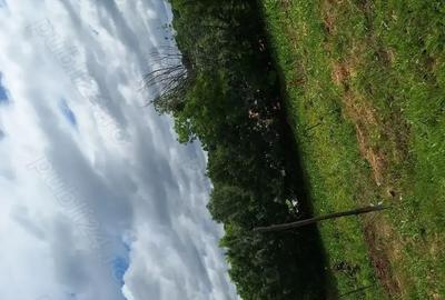 Vand casa plus teren - 1