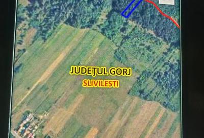 Teren agricol extravilan de 2705 mp, în Slivilești - 2