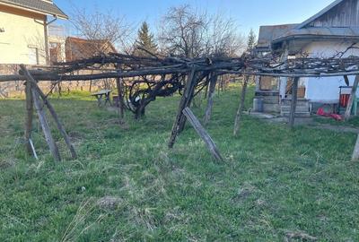 Casă cu 4 camere în Târgu Neamț - 5