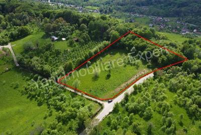 Teren de 8387 mp, în Corbi