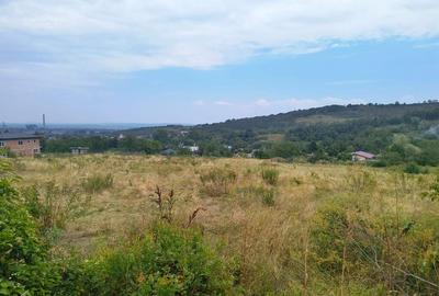 Tomesti 1900 mp. intravilan Tomesti 1900 mp. intravilan - 2