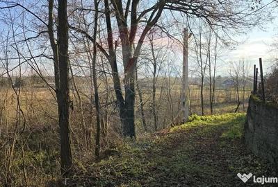 Teren de 10860 mp, în Frătăuții Noi - 1
