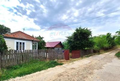 Casă cu 2 camere cu Teren 5361 Mp în Homești - 10