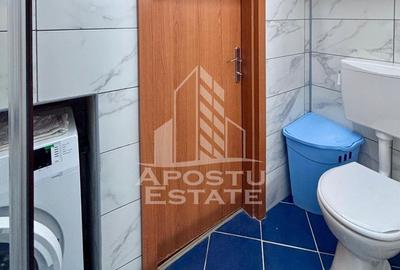 Apartament cu 2 camere în Șega - 13