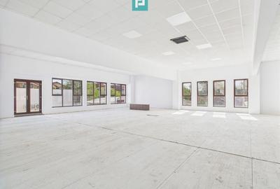 Spațiu comercial, 350 mp în Dumbrăvița