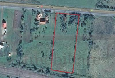Teren Construcții intravilan de 8000 mp, în Morlaca