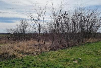 Teren intravilan in Paulesti 2700 mp 35000 Euro - 3