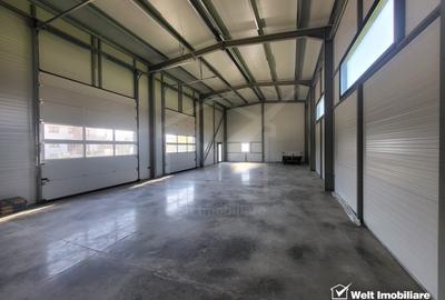 Inchiriere Hala Industriala 200 MP Inchiriere Hala Industriala 200 MP - 2