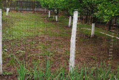Casă cu 4 camere cu Teren 1000 Mp în Lehliu - 2