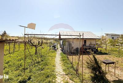 Casă cu 7 camere cu Teren 1592 Mp în Periș - 13