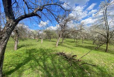 Spațiu comercial, în Pietriceaua - 3
