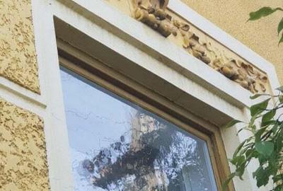 PROPRIETATE UNICAT! Casa 7 camere pe colt in Nadlac - 4