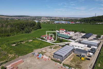 Teren 4.844mp intravilan Scheia | Suceava - 6