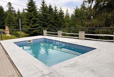 Casă de vacanța / Vilă în Păltiniș cu piscina acoperită și încălzită - 3