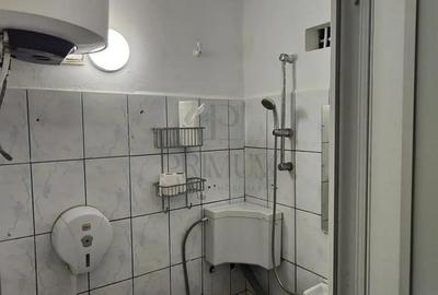 Garsoniera-Iosefin-Mobilata Garsoniera-Iosefin-Mobilata - 7