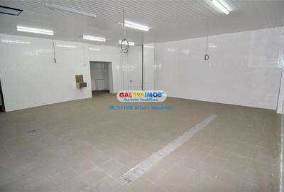 Inchiriere/vanzare spatiu productie alimentara P-ta Delfinului - 1