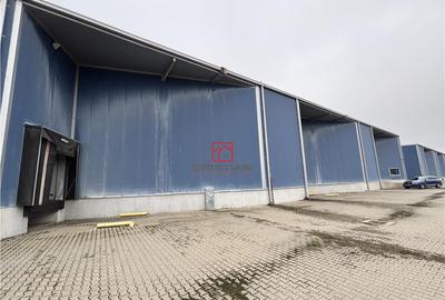 Depozit/hala/spatiu industrial Chiajna - Ciorogarla A1 - KM - 8