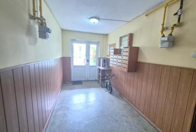 Vanzare apartament cu 2 camere etajul 1 in Cartierul Florilor Brasov mobilat - 3