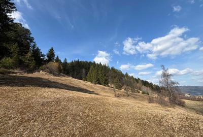 Spațiu comercial, în Ceahlău - 3