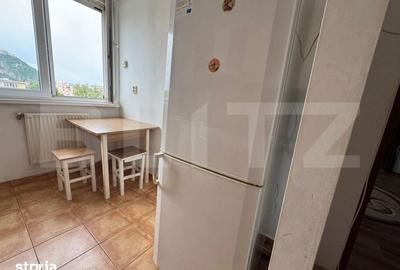 Apartament cu 3 camere semidecomandat în Cetate - 5