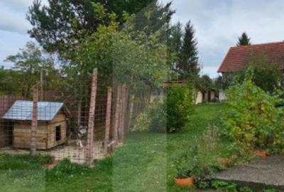 Casă cu 6 camere cu Teren 3000 Mp în Central - 2