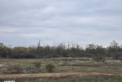 Teren de 393 mp, în Theodor Pallady - 4