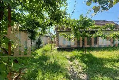 Casă cu Teren 2430 Mp în Satulung - 5