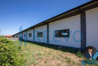 Hala de inchiriat, Sat Valea Seaca, Com. N. Balcescu,... - 9