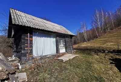 Teren de 10100 mp, în Bulz - 3