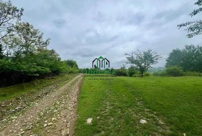 Teren de 3507 mp, în Seaca (Călimănești)