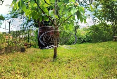 Apartament cu 2 camere, mobilat în Gruia - 11