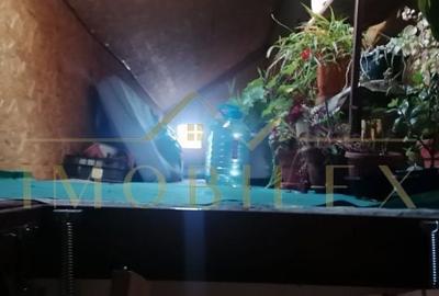 Casă cu 2 camere cu Teren 305 Mp în Gruia - 6